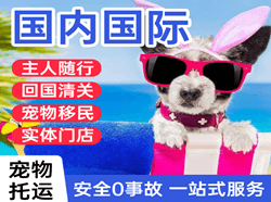 泰州空运地址国际宠物托运 【国